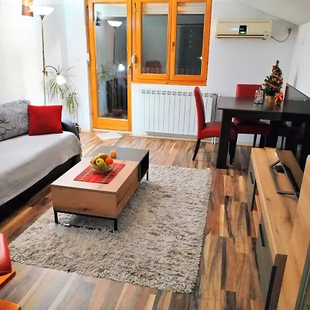 Apartment Viktor Belgrad Exterior foto