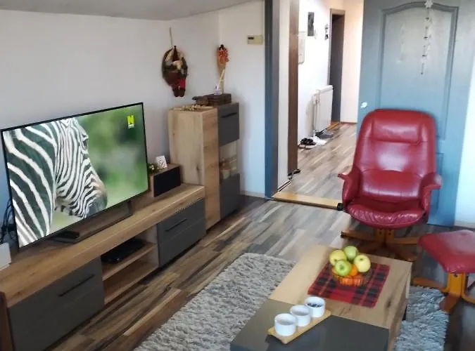 Apartment Viktor