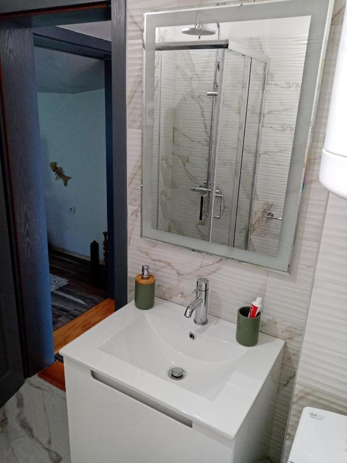 Apartment Viktor *