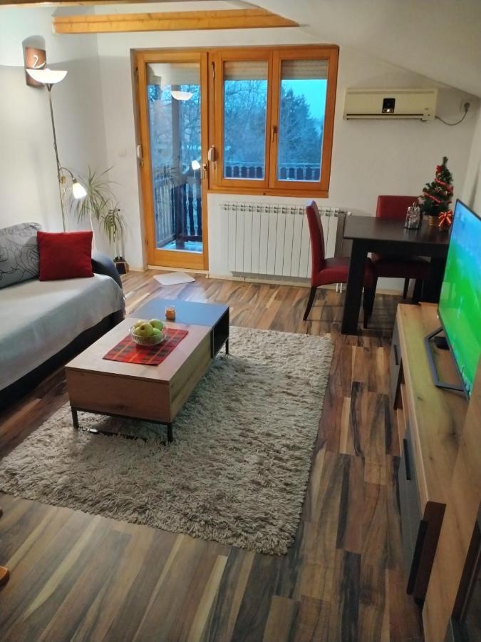 Apartment Viktor